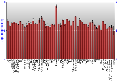 Expression graph