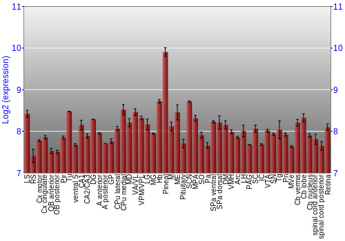 Expression graph