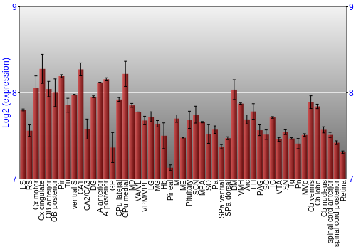 Expression graph