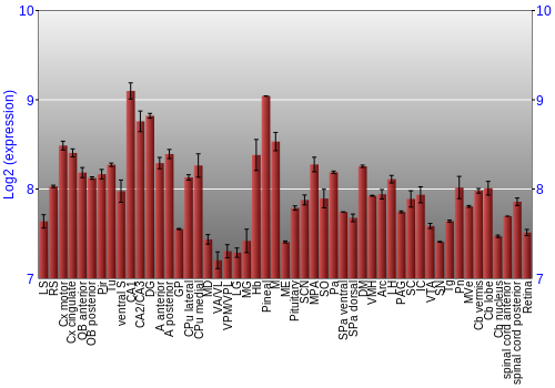 Expression graph