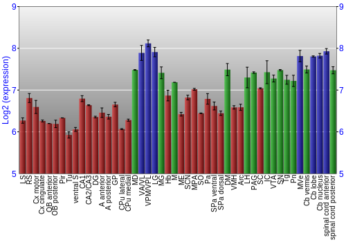 Multi-state expression graph