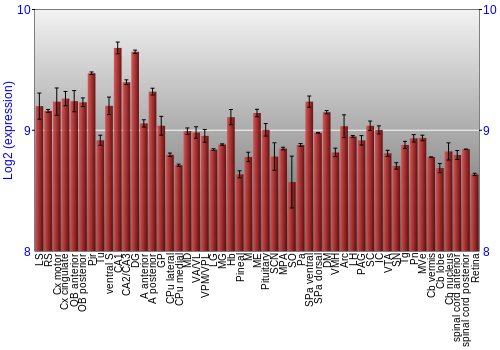 Expression graph