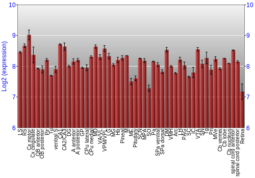 Expression graph