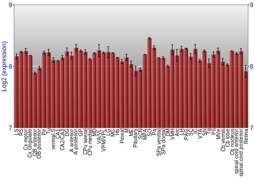 Expression graph