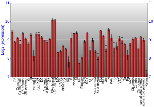 Expression graph