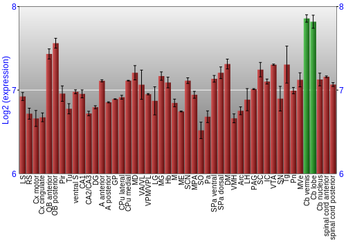 Multi-state expression graph