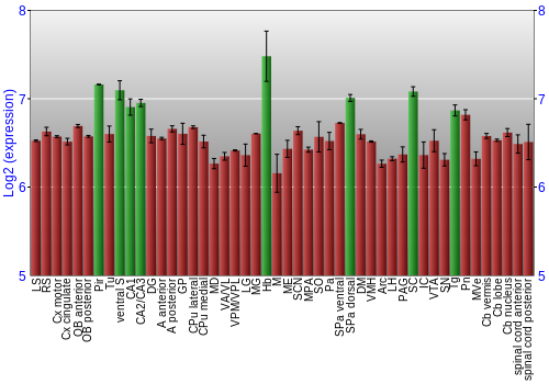 Multi-state expression graph