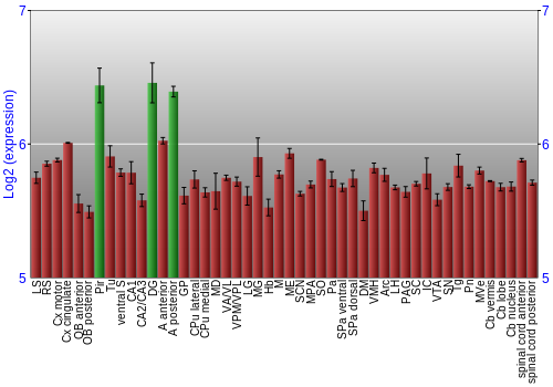 Multi-state expression graph