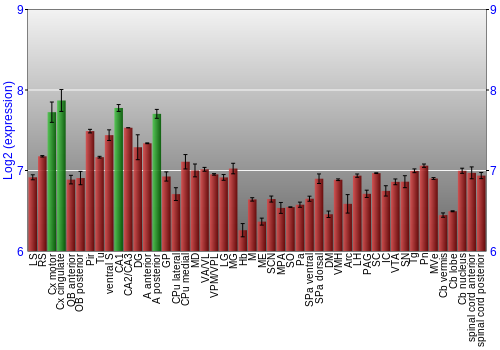 Multi-state expression graph