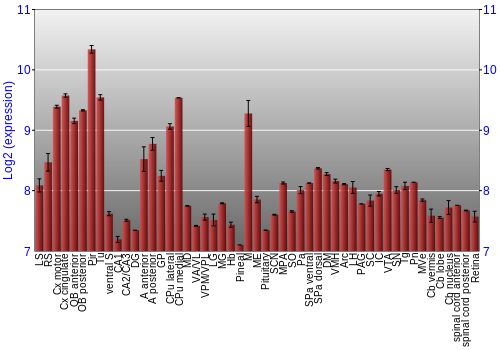 Expression graph