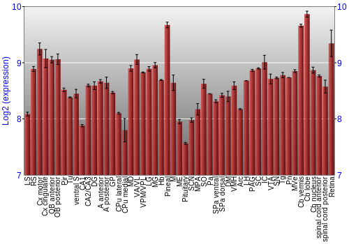Expression graph