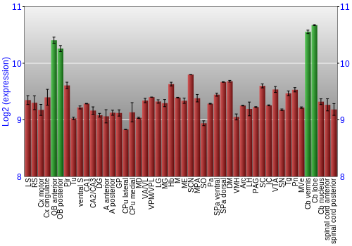 Multi-state expression graph