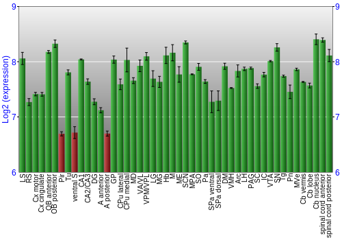 Multi-state expression graph