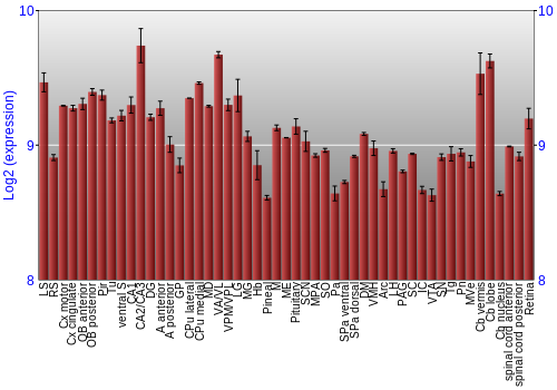 Expression graph