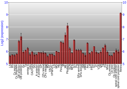 Expression graph