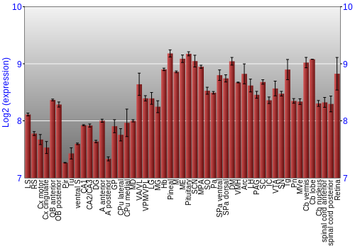 Expression graph