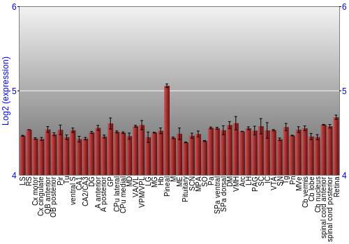 Expression graph