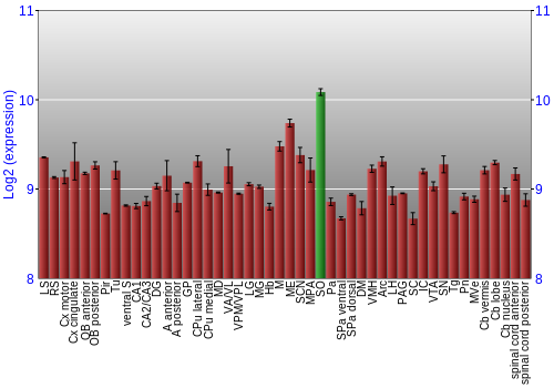 Multi-state expression graph