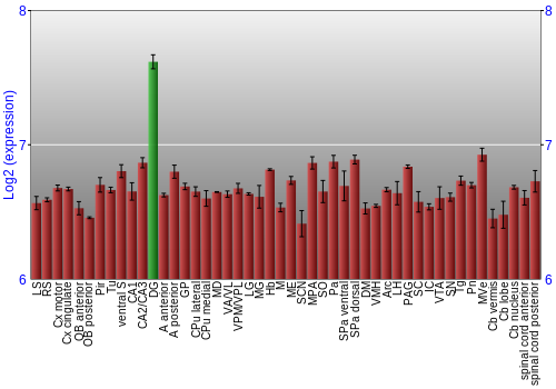 Multi-state expression graph