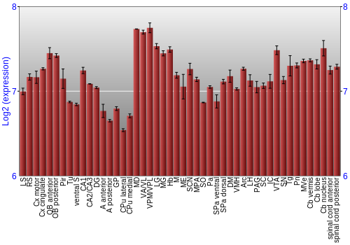 Multi-state expression graph