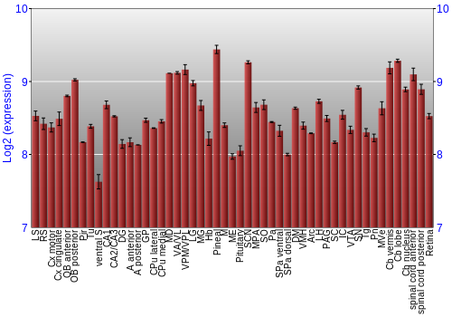 Expression graph