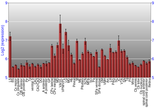 Expression graph