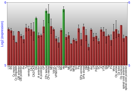 Multi-state expression graph