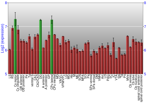 Multi-state expression graph