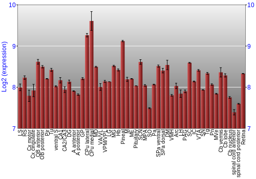 Expression graph