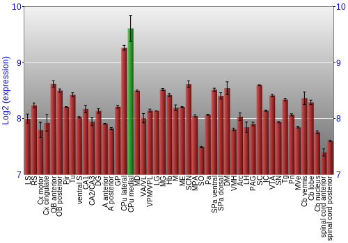 Multi-state expression graph