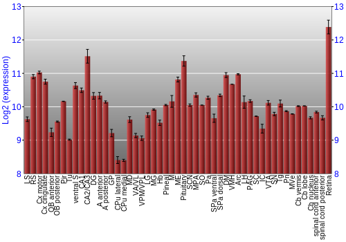 Expression graph