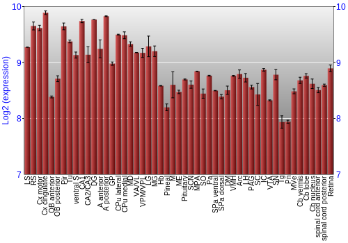 Expression graph