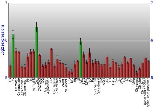 Multi-state expression graph