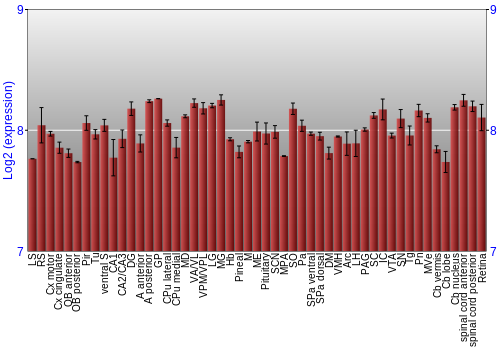 Expression graph