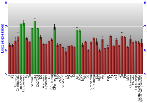 Multi-state expression graph