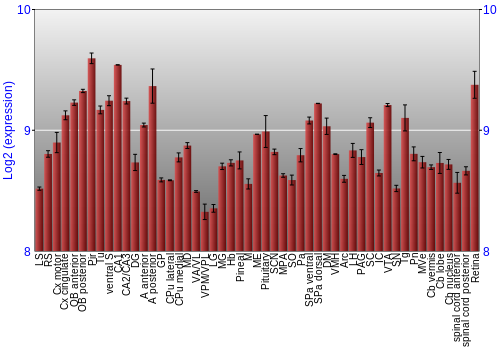 Expression graph