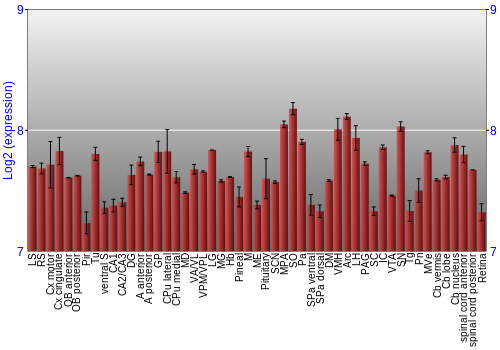 Expression graph