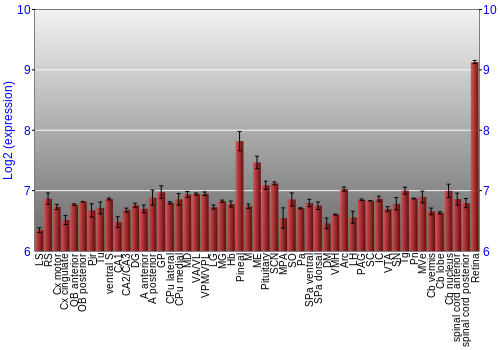 Expression graph