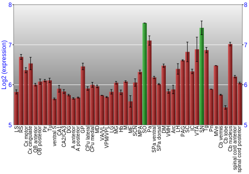 Multi-state expression graph