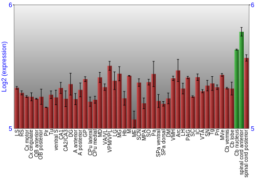 Multi-state expression graph