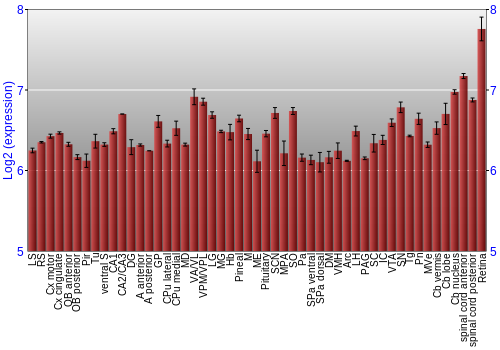 Expression graph