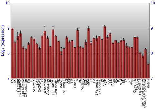 Expression graph