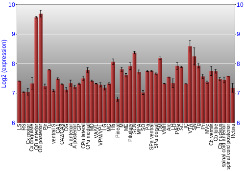 Expression graph