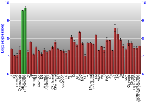 Multi-state expression graph