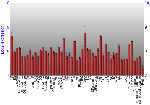 Expression graph