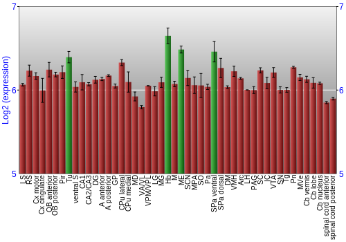 Multi-state expression graph