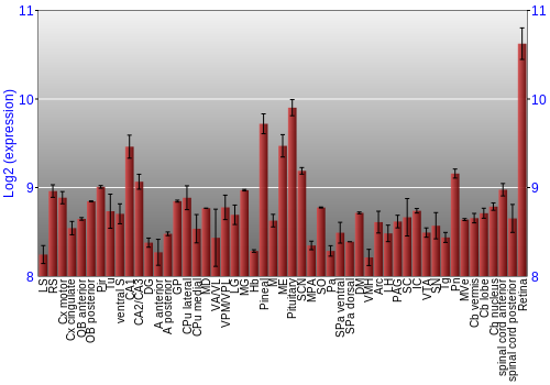 Expression graph