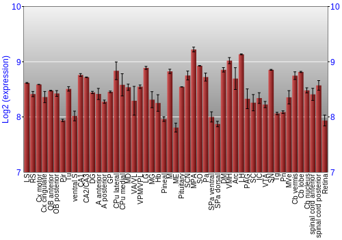 Expression graph