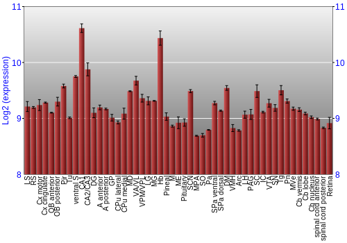 Expression graph