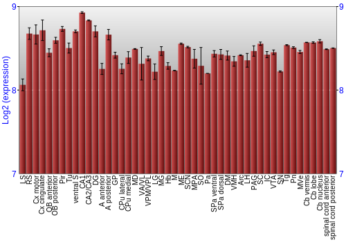 Multi-state expression graph